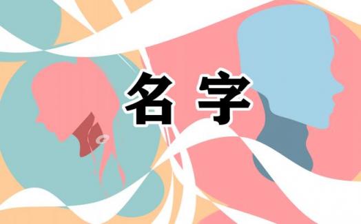 有创意的设计公司名字最新版