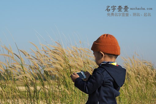 陆姓起名最高分的男孩名字!陆姓打分高男孩名