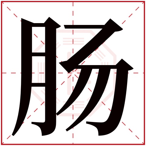 肠字五行属什么 肠字在康熙字典里多少画 肠字起名的寓意含义