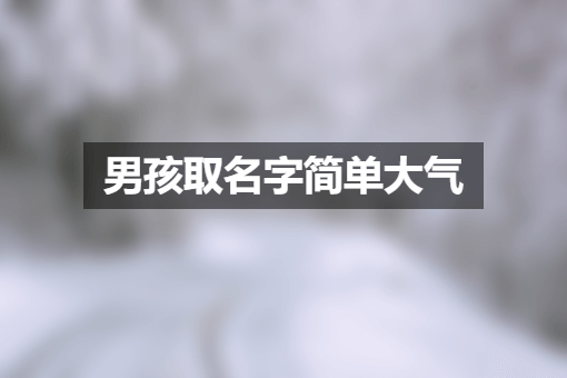 男孩取名字简单大气 最新男孩名字大全