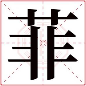 菲字取名女孩名字大全，菲字的女孩名字好听