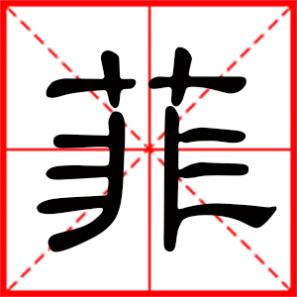 菲字有哪些，菲字和什么字配