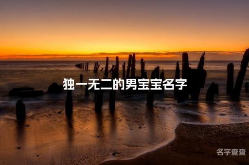 独一无二的男宝宝名字 宝宝名字大全2024属龙