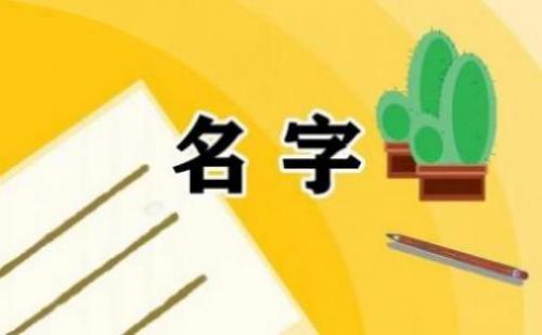 美妆公司取名字参考大全