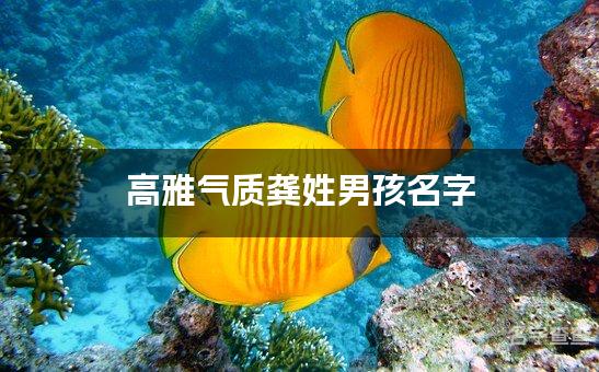 高雅气质龚姓男孩名字 最有气质的男孩名字大全姓龚